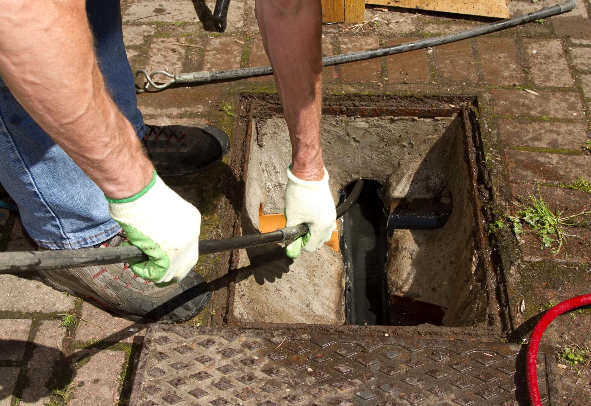 When My Garden Became a Swamp: A Drainage Nightmare in High Wycombe